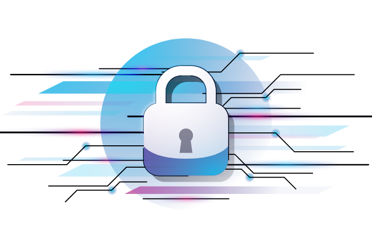 purple team purple team