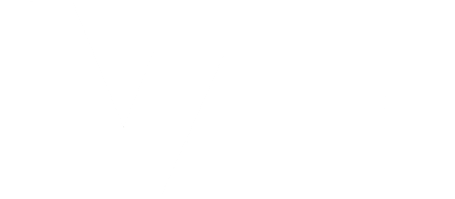 logo-white-volli